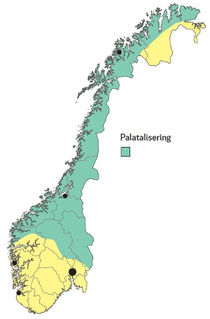 10_palatelisering_liten.jpg